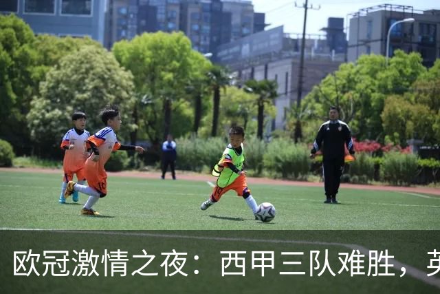 欧冠激情之夜：西甲三队难胜，英超意甲法甲全取胜，德甲两队保持不败