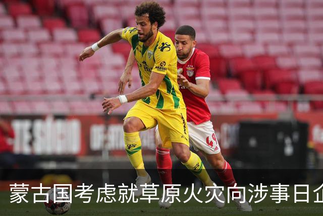 蒙古国考虑就草原火灾向涉事日企索赔