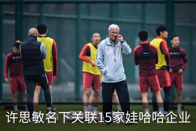 许思敏名下关联15家娃哈哈企业