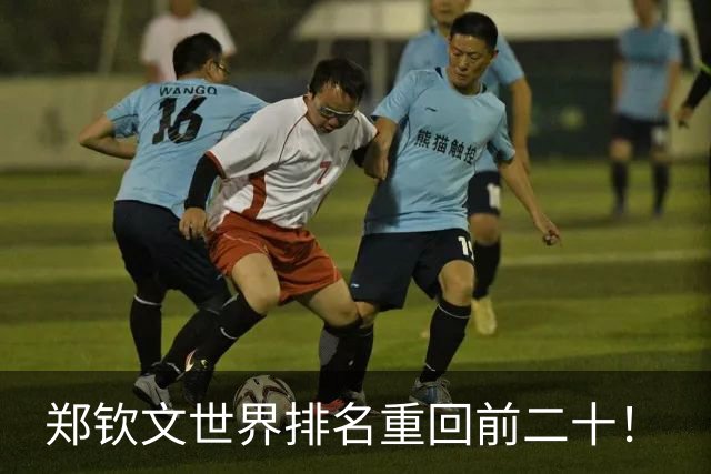 郑钦文世界排名重回前二十！