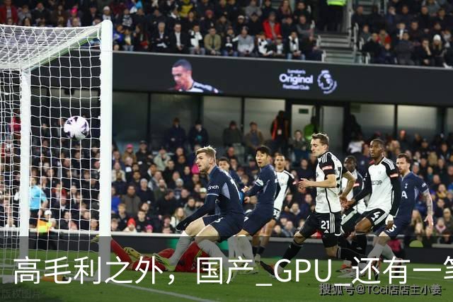 高毛利之外，国产 GPU 还有一笔 “软件账”
